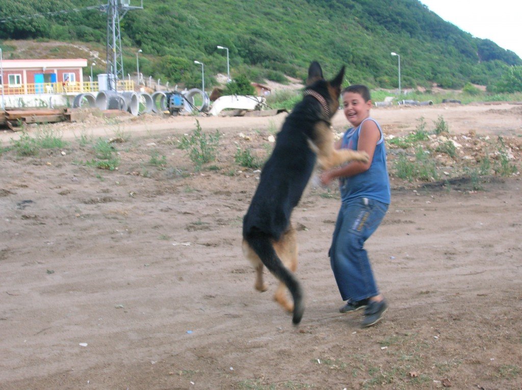 DSCN4646.jpg