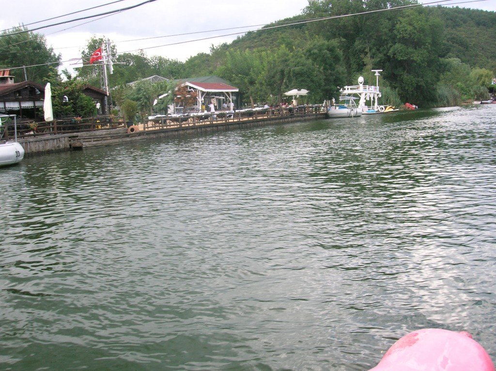 DSCN4662.jpg
