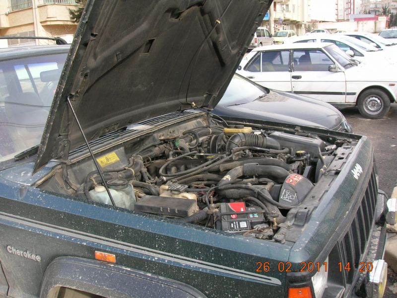 DSCN5156.jpg