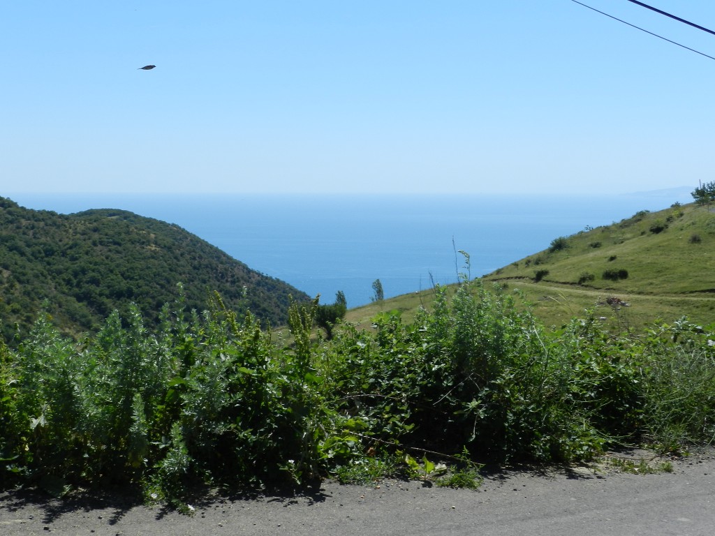DSCN8428.JPG