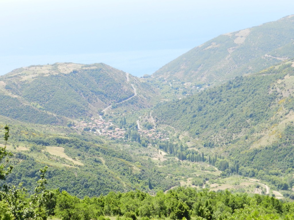 DSCN8447.JPG
