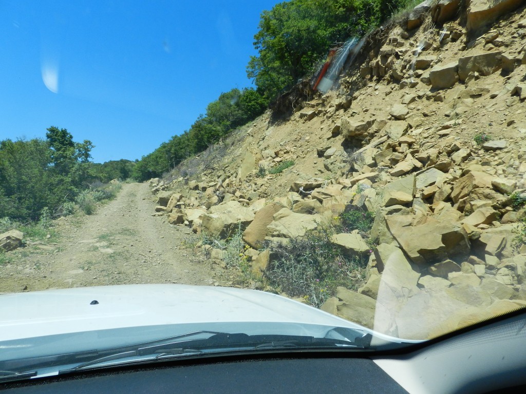 DSCN8450.JPG