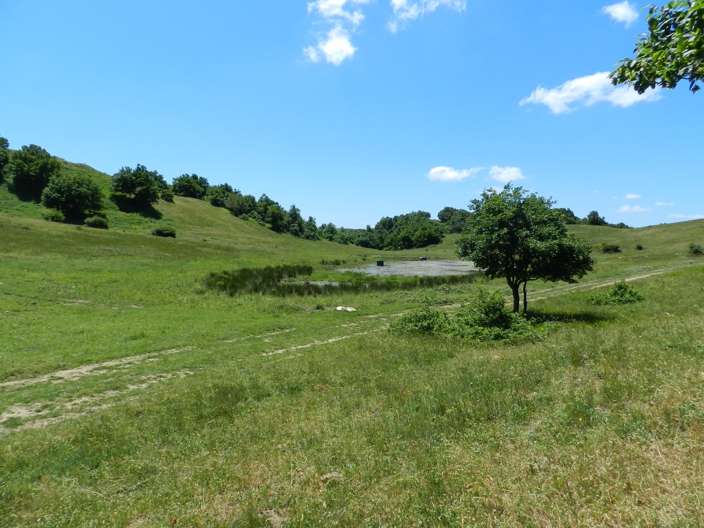 DSCN8462.JPG