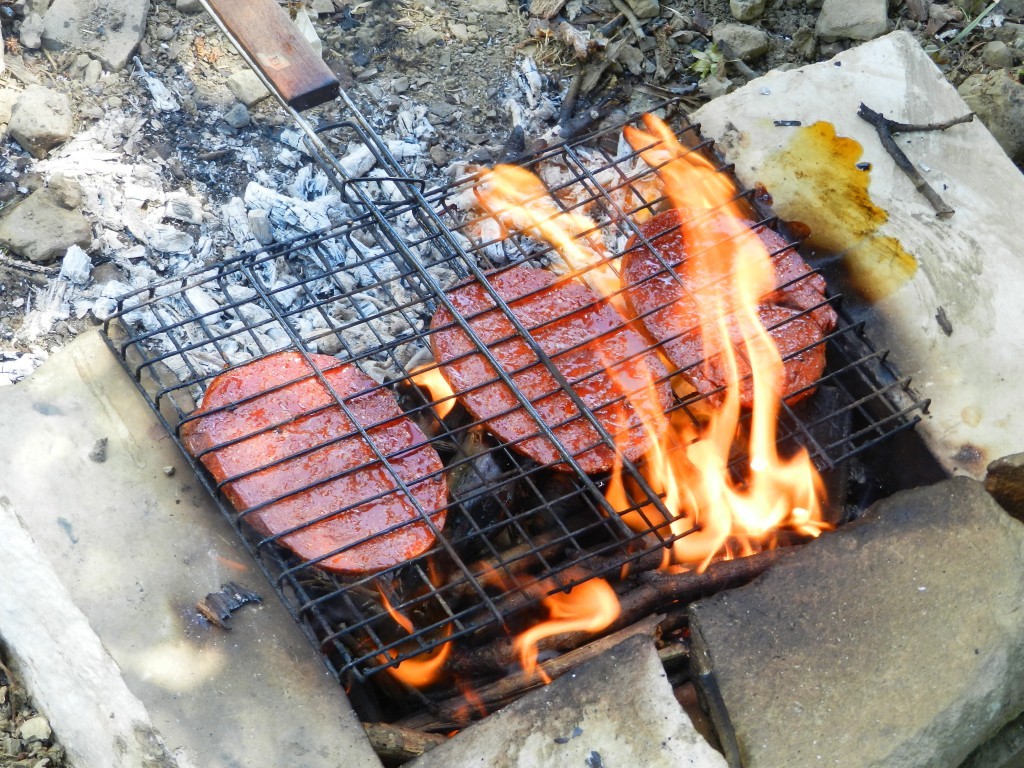 DSCN8500.JPG
