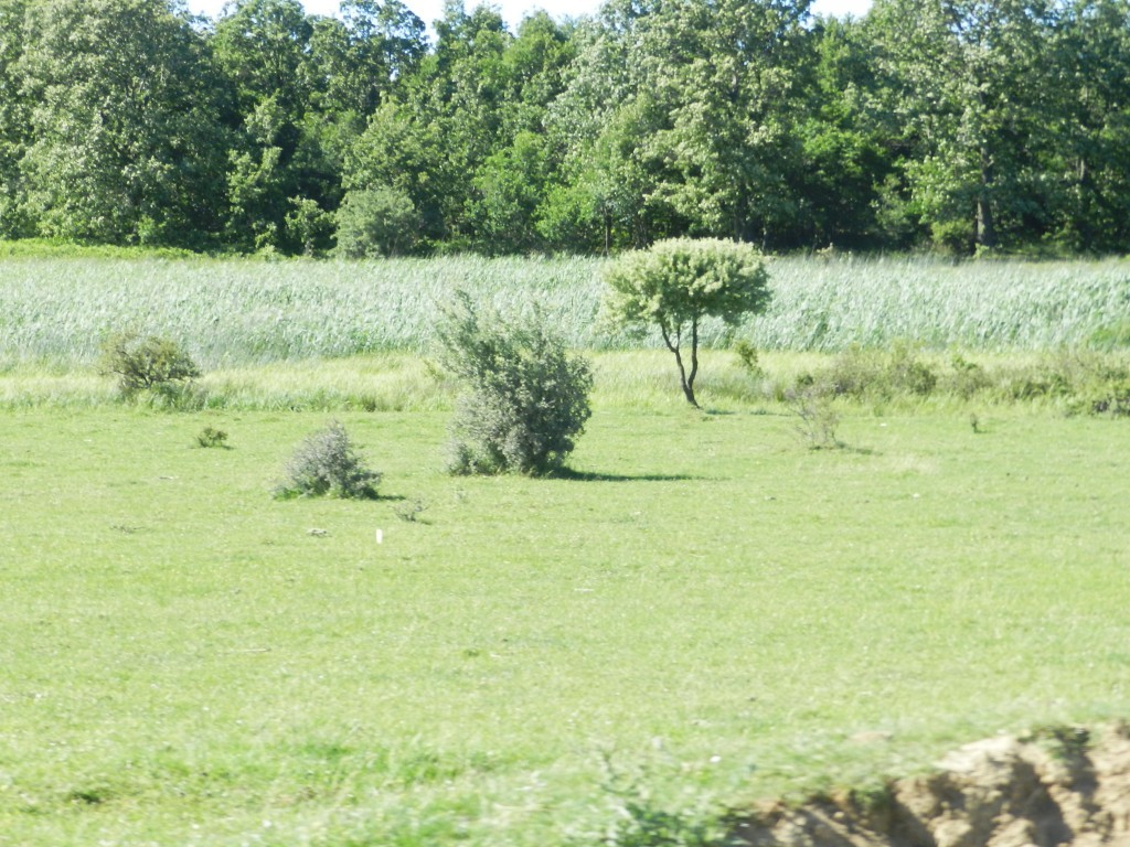 DSCN8539.JPG