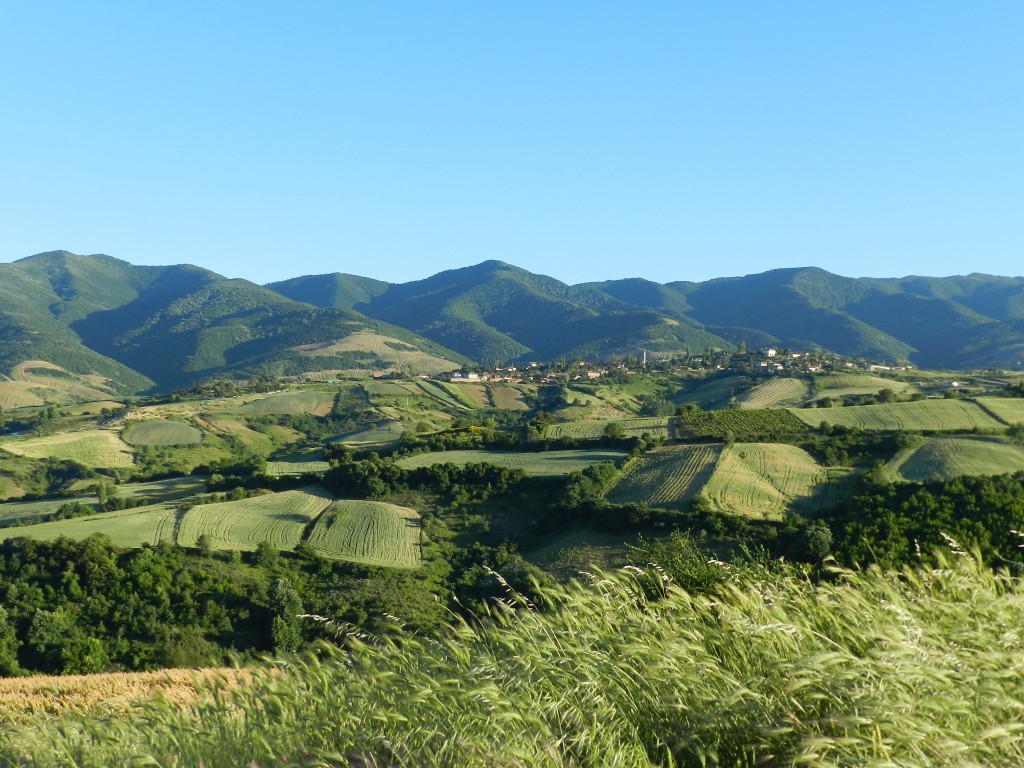 DSCN8546.JPG