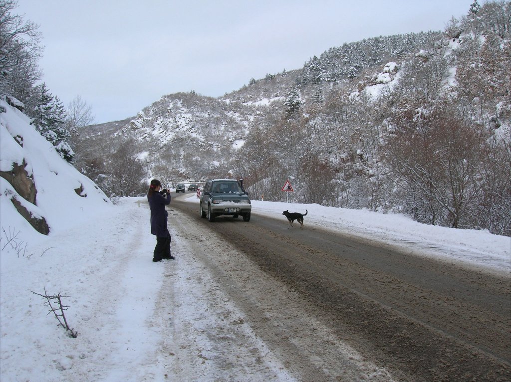 DSCN8985.jpg