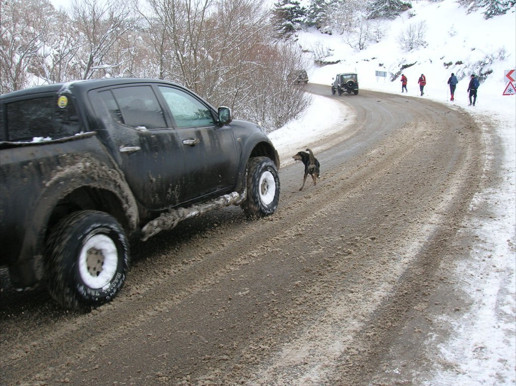 DSCN8987.jpg