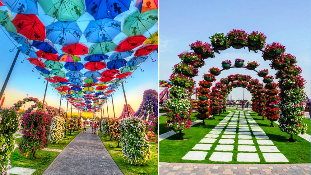 Dubai-Miracle-Garden-Wallpaper.jpg