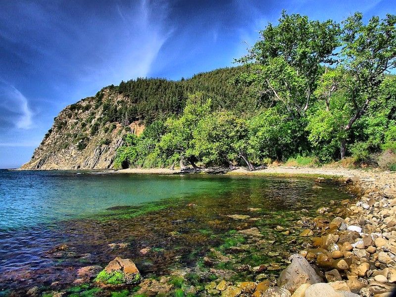 Dut LimanÃƒÂƒÃ‚Â„ÃƒÂ‚Ã‚Â±-KumbaÃƒÂƒÃ‚Â„ÃƒÂ‚Ã‚ÂŸ.jpg