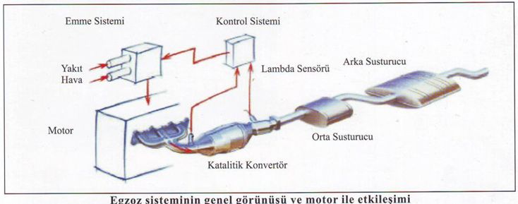 egzostsistemi.jpg