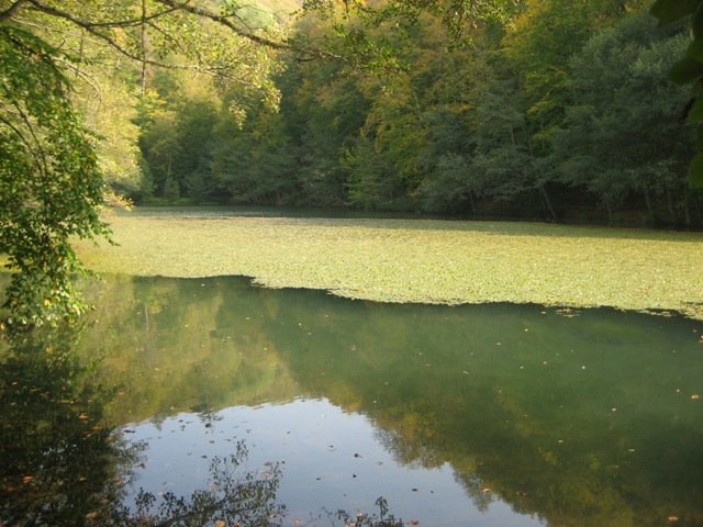 ekim yedigÃƒÂƒÃ‚ÂƒÃƒÂ‚Ã‚Â¶ller -ferdane gÃƒÂƒÃ‚ÂƒÃƒÂ‚Ã‚Â¶zÃƒÂƒÃ‚ÂƒÃƒÂ‚Ã‚Â¼ ile.jpg