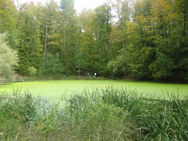 ekim yedigÃƒÂƒÃ‚ÂƒÃƒÂ‚Ã‚Â¶ller -ferdane.jpg