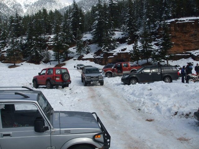 ElmalÃƒÂƒÃ‚Â„ÃƒÂ‚Ã‚Â± (25.12.11) (15).JPG