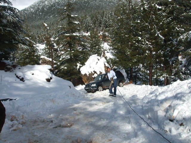 ElmalÃƒÂƒÃ‚Â„ÃƒÂ‚Ã‚Â± (25.12.11) (3).JPG