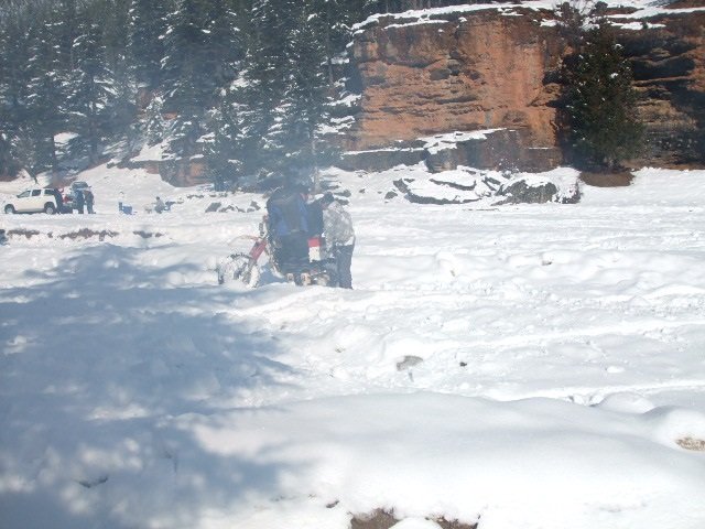 ElmalÃƒÂƒÃ‚Â„ÃƒÂ‚Ã‚Â± (25.12.11) (80).JPG