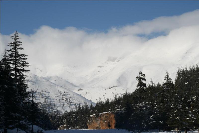 elmalÃƒÂƒÃ‚Â„ÃƒÂ‚Ã‚Â± ÃƒÂƒÃ‚Â…ÃƒÂ‚Ã‚ÂŸengÃƒÂƒÃ‚ÂƒÃƒÂ‚Ã‚Â¼l (38).jpg