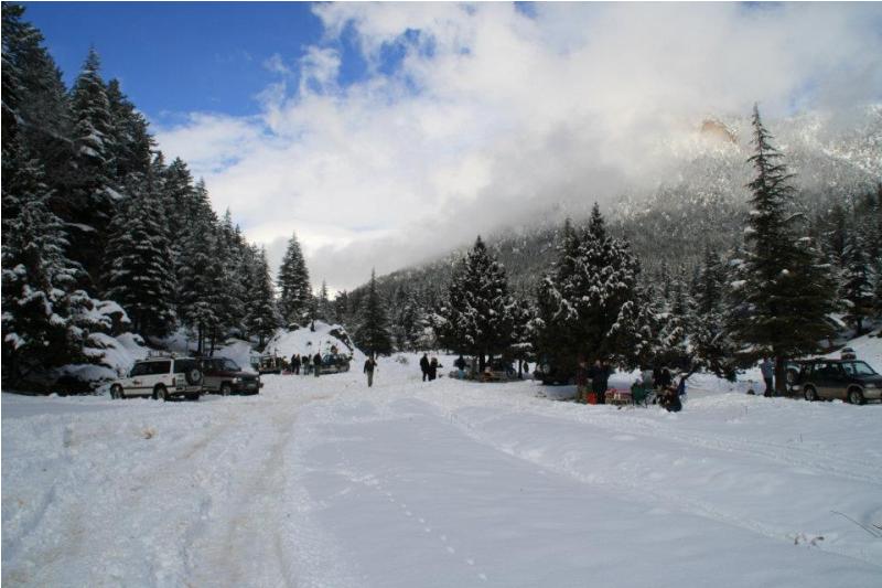 elmalÃƒÂƒÃ‚Â„ÃƒÂ‚Ã‚Â± ÃƒÂƒÃ‚Â…ÃƒÂ‚Ã‚ÂŸengÃƒÂƒÃ‚ÂƒÃƒÂ‚Ã‚Â¼l (42).jpg