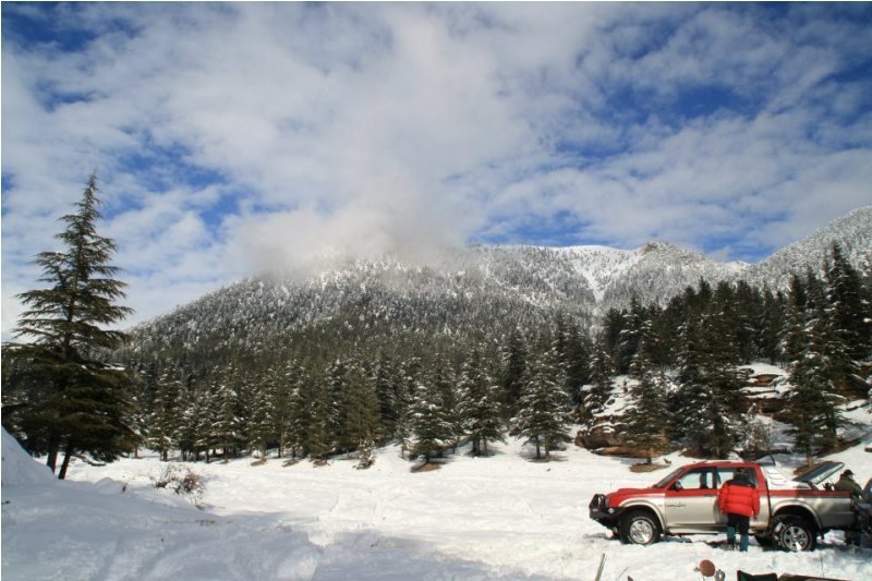 elmalÃƒÂƒÃ‚Â„ÃƒÂ‚Ã‚Â± ÃƒÂƒÃ‚Â…ÃƒÂ‚Ã‚ÂŸengÃƒÂƒÃ‚ÂƒÃƒÂ‚Ã‚Â¼l (45).jpg