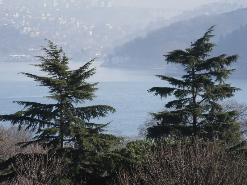 emirgan3.jpg