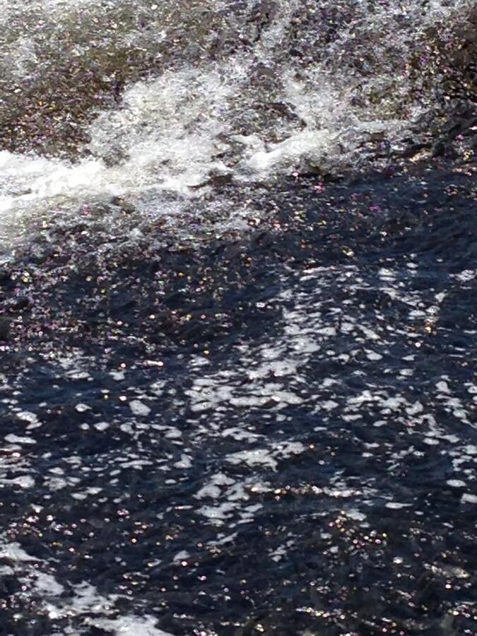 erciÃƒÂƒÃ‚Â…ÃƒÂ‚Ã‚ÂŸ balÃƒÂƒÃ‚Â„ÃƒÂ‚Ã‚Â±klÃƒÂƒÃ‚Â„ÃƒÂ‚Ã‚Â± gÃƒÂƒÃ‚ÂƒÃƒÂ‚Ã‚Â¶l3.jpg