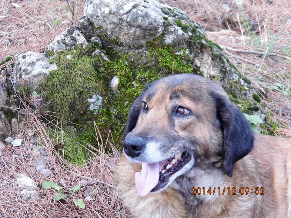 EyyÃƒÂƒÃ‚ÂƒÃƒÂ‚Ã‚Â¼p Selek Objektif 009.jpg