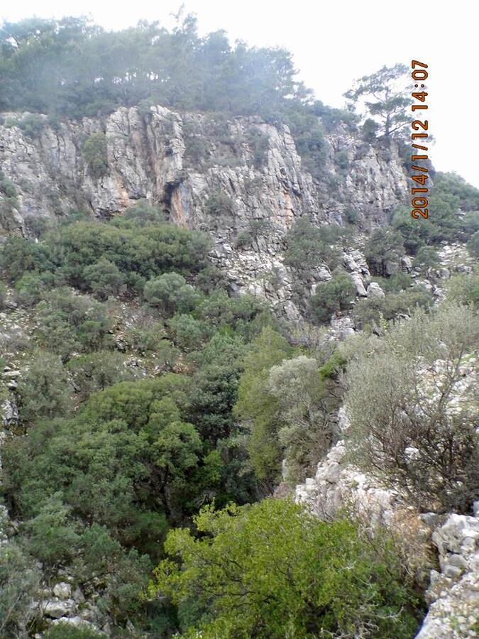 EyyÃƒÂƒÃ‚ÂƒÃƒÂ‚Ã‚Â¼p Selek Objektif 066.jpg