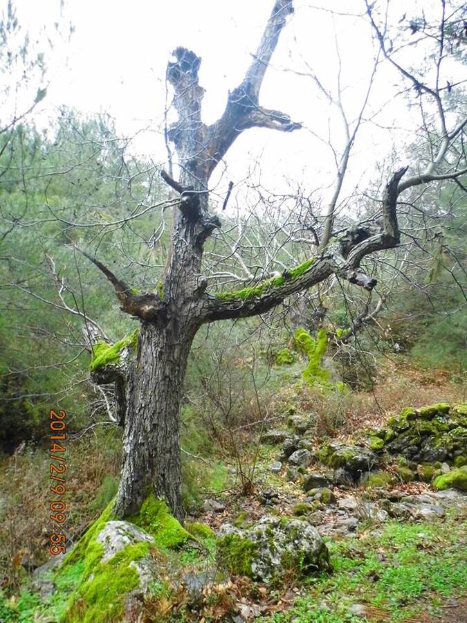 EyyÃƒÂƒÃ‚ÂƒÃƒÂ‚Ã‚Â¼p Selek Objektif - Kaynaklar - 011.jpg