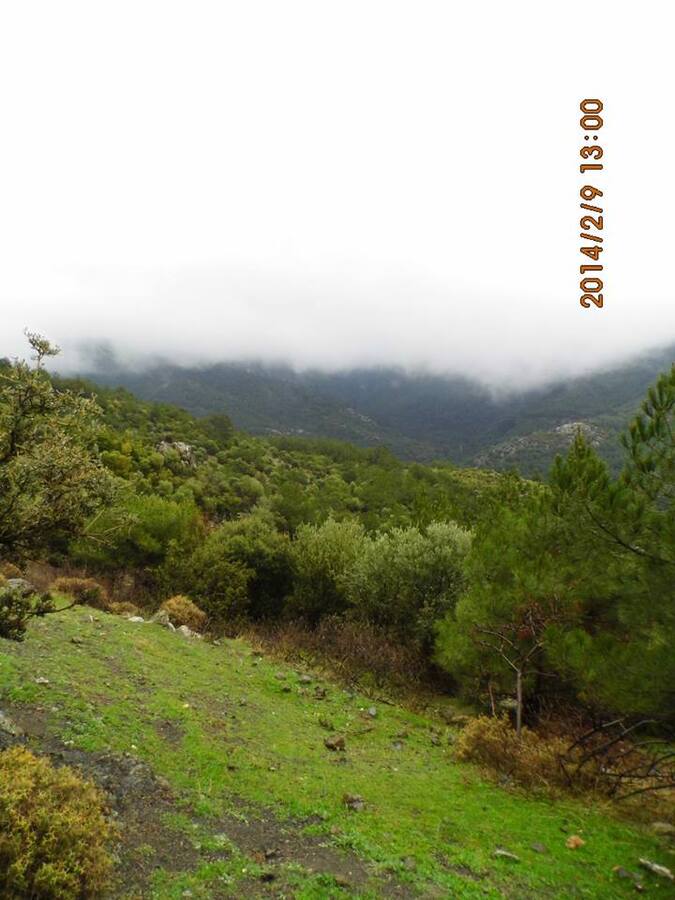 EyyÃƒÂƒÃ‚ÂƒÃƒÂ‚Ã‚Â¼p Selek Objektif - Kaynaklar - 028.jpg