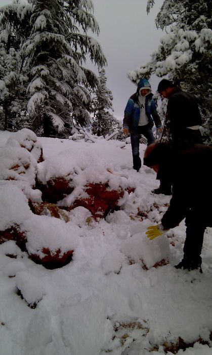 feke NATA+kosk cukoff 041.jpg