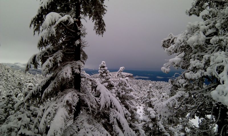 feke NATA+kosk cukoff 046.jpg