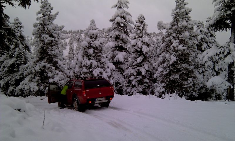 feke NATA+kosk cukoff 048.jpg