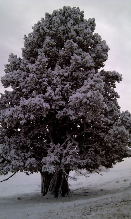 feke NATA+kosk cukoff 052.jpg