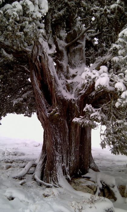 feke NATA+kosk cukoff 053.jpg