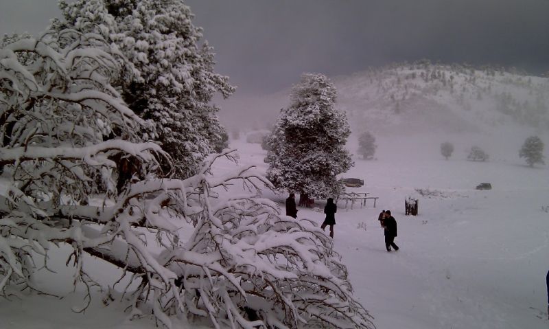 feke NATA+kosk cukoff 054.jpg