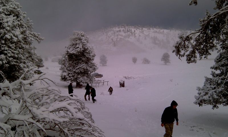 feke NATA+kosk cukoff 055.jpg