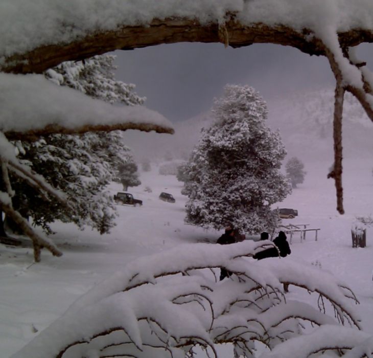 feke NATA+kosk cukoff 056.jpg