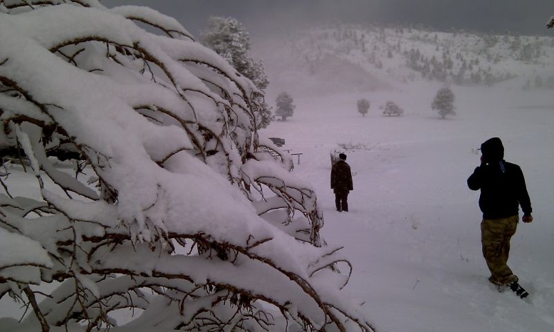 feke NATA+kosk cukoff 058.jpg