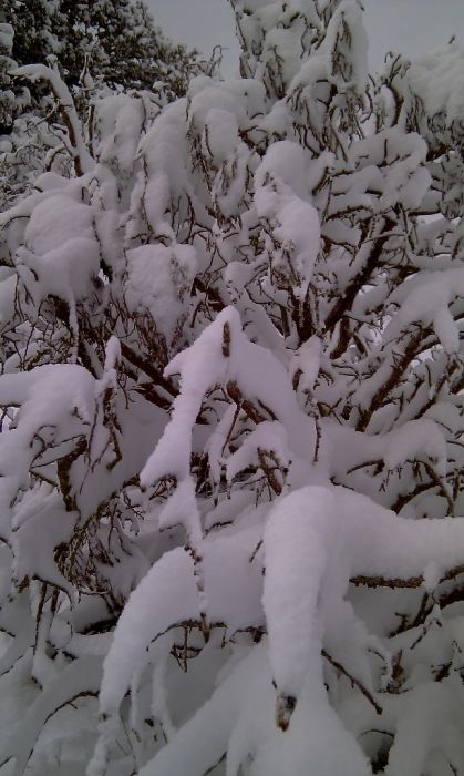 feke NATA+kosk cukoff 059.jpg