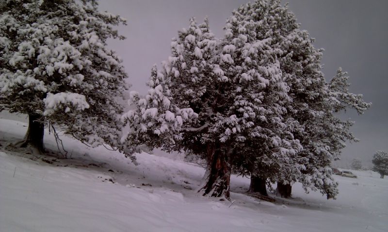 feke NATA+kosk cukoff 060.jpg