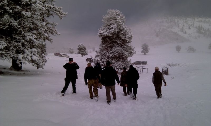 feke NATA+kosk cukoff 061.jpg