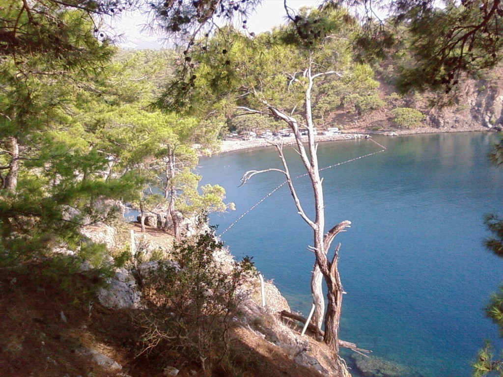 FotoÃƒÂƒÃ‚Â„ÃƒÂ‚Ã‚ÂŸraf-0009.jpg