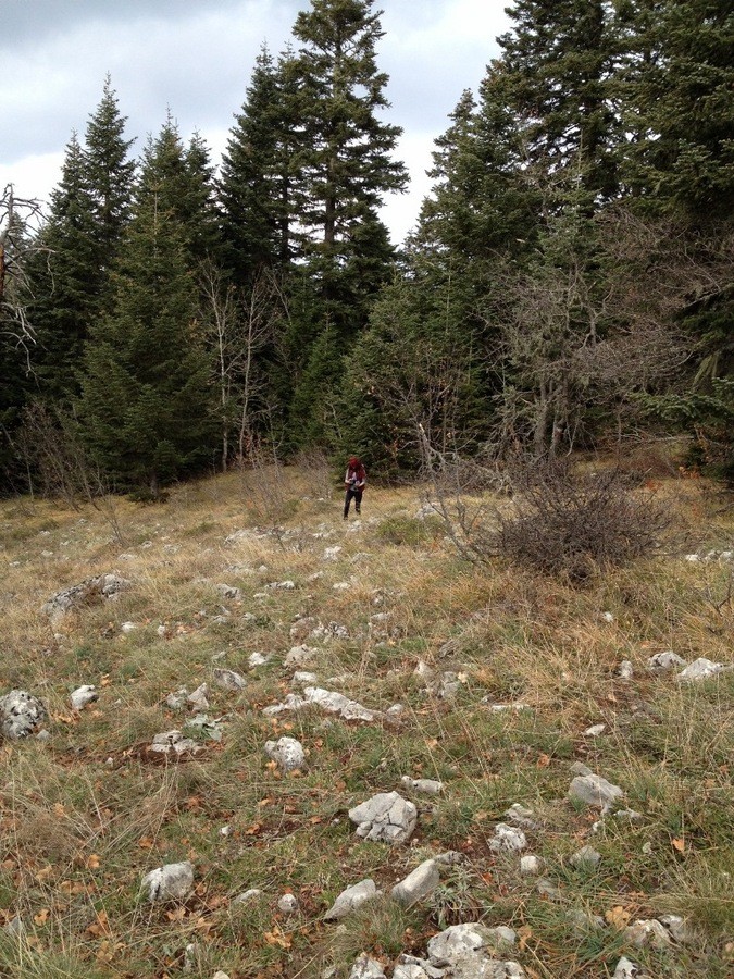 fotoÃƒÂƒÃ‚Â„ÃƒÂ‚Ã‚ÂŸraf 1.JPG