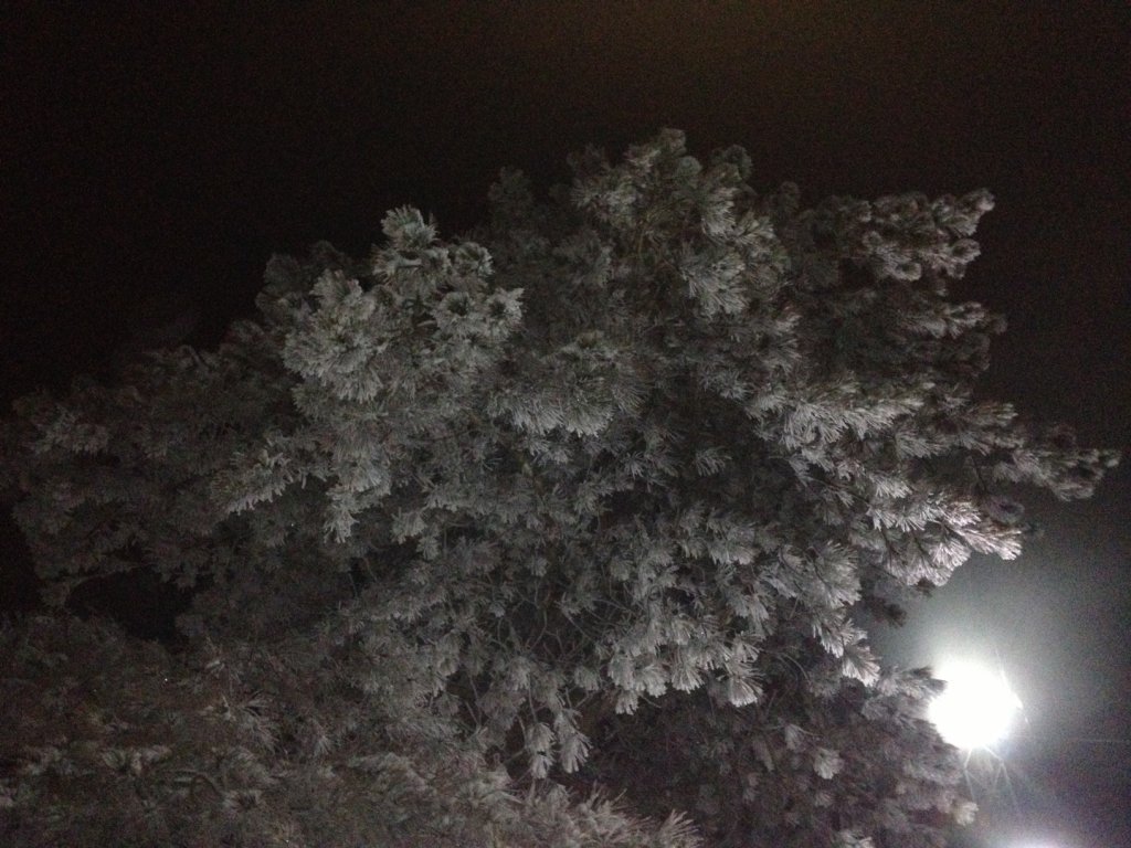 fotoÃƒÂƒÃ‚Â„ÃƒÂ‚Ã‚ÂŸraf (3).JPG