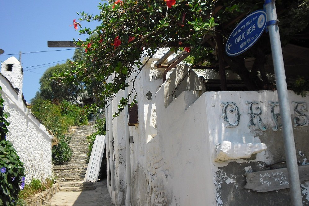 GÃƒÂƒÃ‚ÂƒÃƒÂ‚Ã‚Â¼mÃƒÂƒÃ‚ÂƒÃƒÂ‚Ã‚Â¼ÃƒÂƒÃ‚Â…ÃƒÂ‚Ã‚ÂŸlÃƒÂƒÃ‚ÂƒÃƒÂ‚Ã‚Â¼k (2).JPG