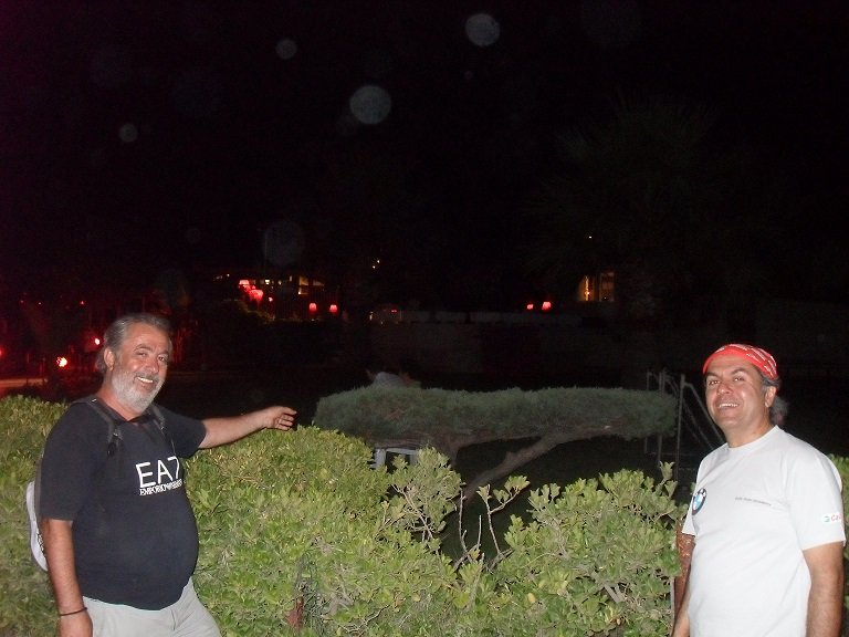 GÃƒÂƒÃ‚ÂƒÃƒÂ‚Ã‚Â¼zelÃƒÂƒÃ‚ÂƒÃƒÂ‚Ã‚Â§amlÃƒÂƒÃ‚Â„ÃƒÂ‚Ã‚Â± (7).JPG