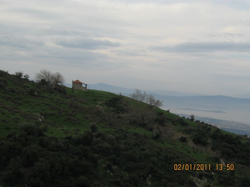 GÃƒÂƒÃ‚ÂƒÃƒÂ‚Ã‚Â¼zelbahÃƒÂƒÃ‚ÂƒÃƒÂ‚Ã‚Â§e  - K.Dere 02.01.2011 023.jpg