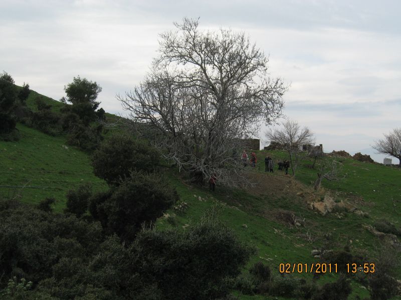 GÃƒÂƒÃ‚ÂƒÃƒÂ‚Ã‚Â¼zelbahÃƒÂƒÃ‚ÂƒÃƒÂ‚Ã‚Â§e  - K.Dere 02.01.2011 024.jpg