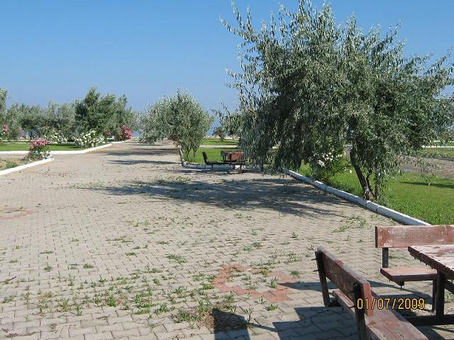 gÃƒÂƒÃ‚ÂƒÃƒÂ‚Ã‚Â¶meÃƒÂƒÃ‚ÂƒÃƒÂ‚Ã‚Â§ sahil 009.jpg