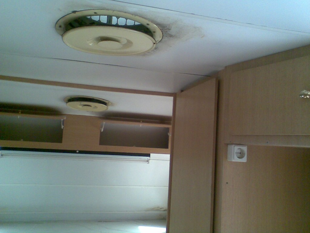 GÃƒÂƒÃ‚ÂƒÃƒÂ‚Ã‚Â¶rÃƒÂƒÃ‚ÂƒÃƒÂ‚Ã‚Â¼ntÃƒÂƒÃ‚ÂƒÃƒÂ‚Ã‚Â¼010.jpg